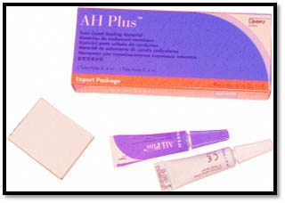 AH Plus – двухкомпонентная паста для пломбирования корневых каналов зубов.